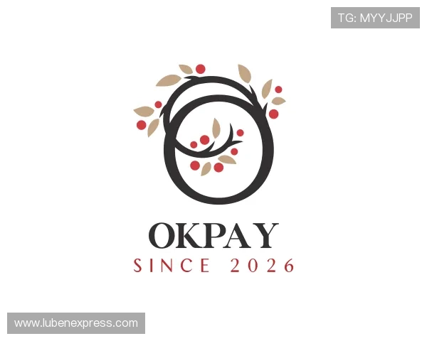 了解OKPAY